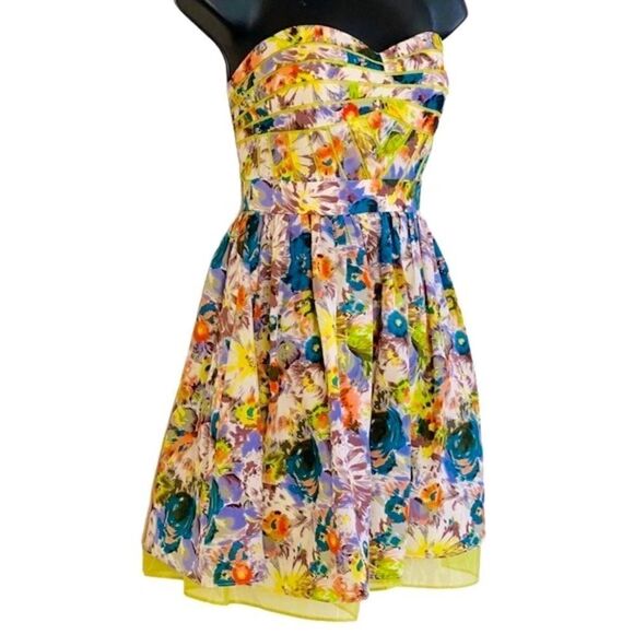 Minuet Floral Fit & Flare Floral Organza Tulle Petticoat Mini Dress Sz S NWT - Picture 1 of 9